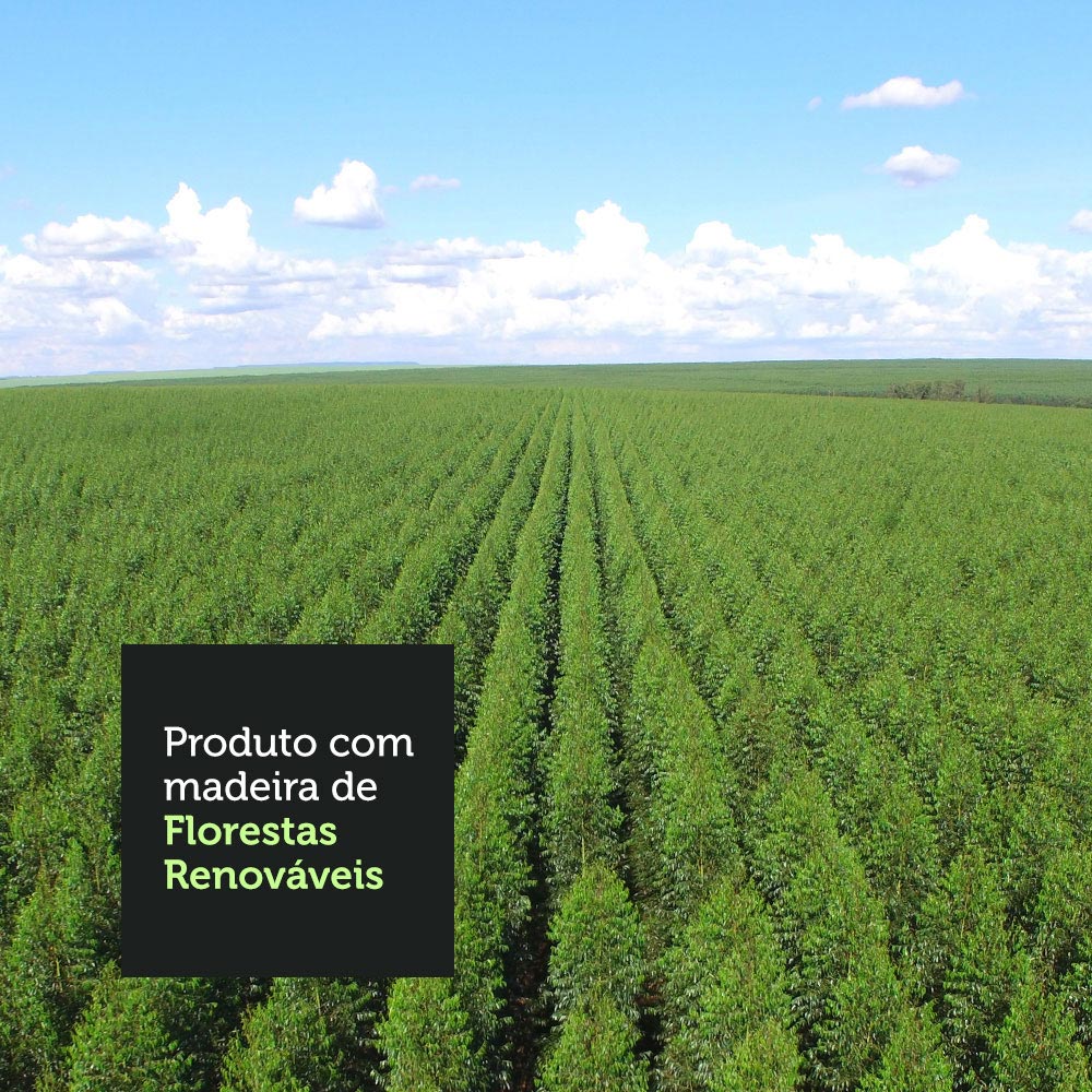 Balcão de Pia 150 cm 2 Portas e 2 Gavetas (Sem Tampo e Pia) Rustic/Crema Agata Madesa - Image 9